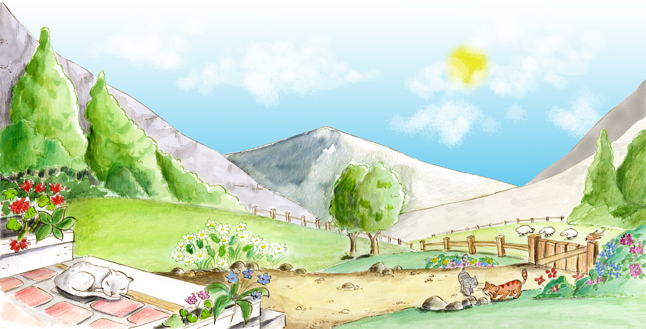 Mi papá es campesino - Imagen 4